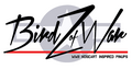 Birdz of War Pinup Girl Model Kits