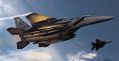 USAF 333d FS ストライクイーグル　PVCパッチ USAF 333d FS ストライクイーグルPVCパッチ