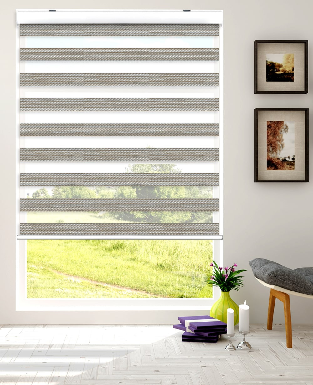 Premium Pleated Zebra Dual Sheer Blackout Roller Shades