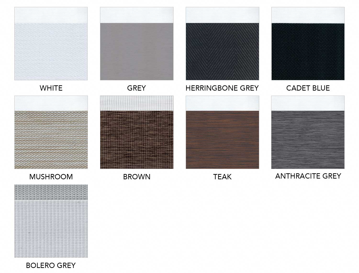 zebra-bo-colors-2.jpg zebra-bo-colors-2.jpg