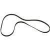 Belt, Pump (Serpentine - Osprey 1 6.0L 2009-10)