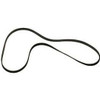 Belt, Pump (Raptor II 6.0L 2016-19, Raptor 1 6.0L 2015-17, Osprey 1 2011-17 F-250, F250 Osprey 2 6.8L 2023-Current)