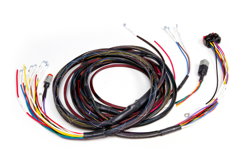 Harness, Wiring (Raptor)