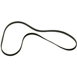 Belt, Pump (Serpentine - Raptor 1 5.2L Diesel 2007-09)