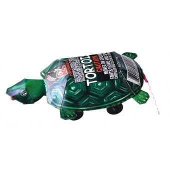 Tortoise