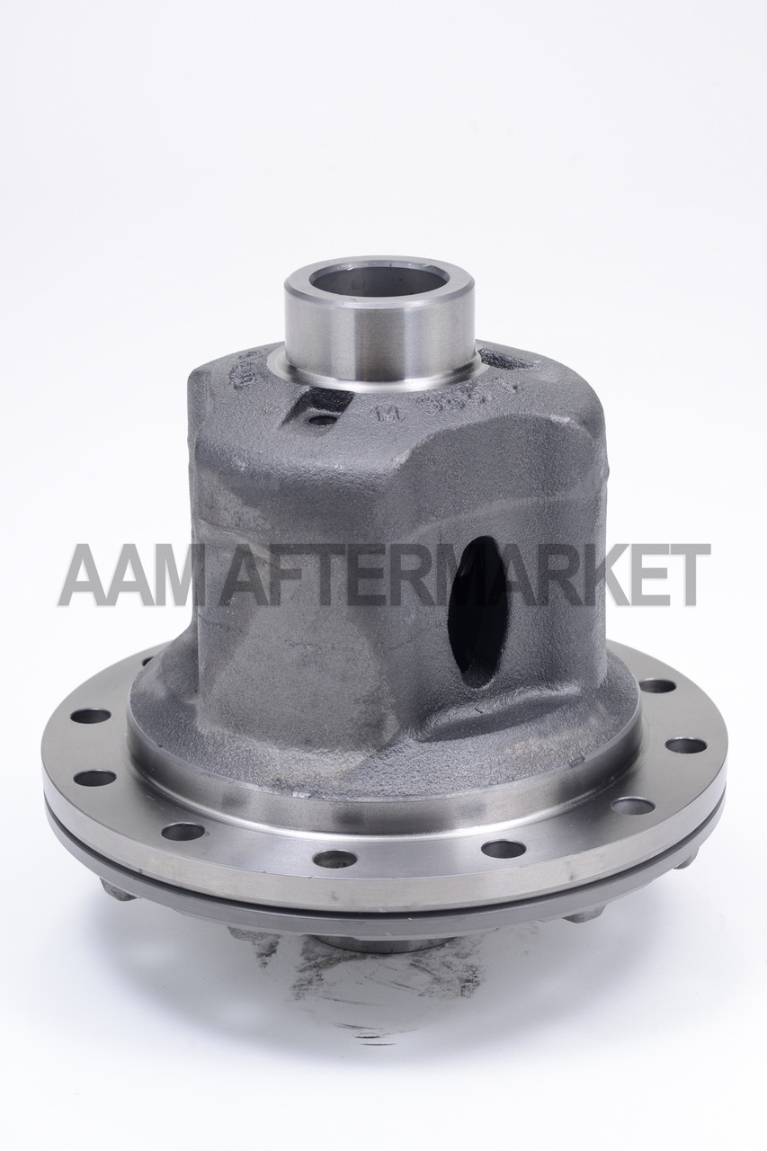 AMERICAN AXLE 40099548: GM/Dodge Posi