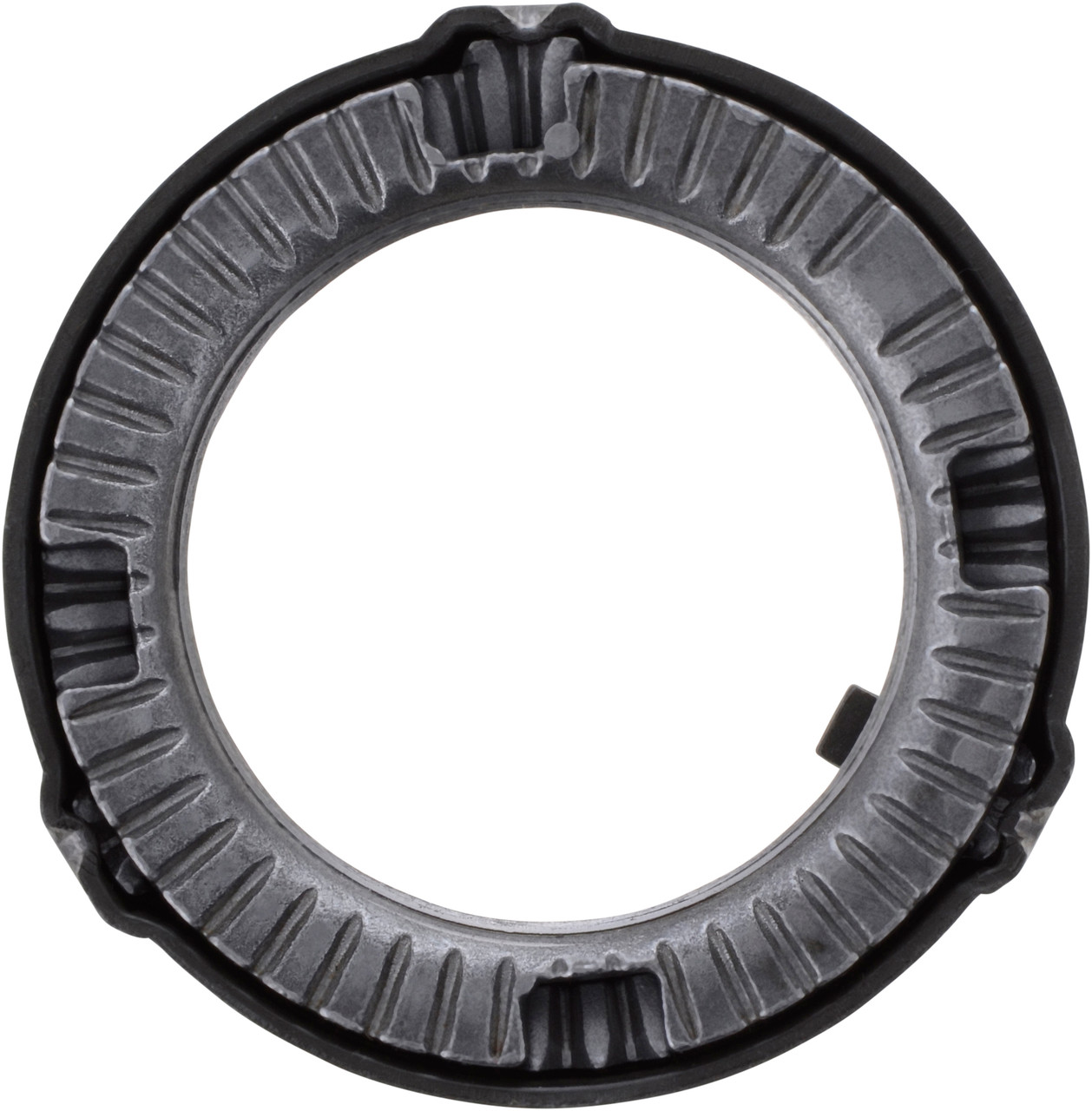 スナゴケ　100トレー スナゴケ 100トレー 【公式通販】