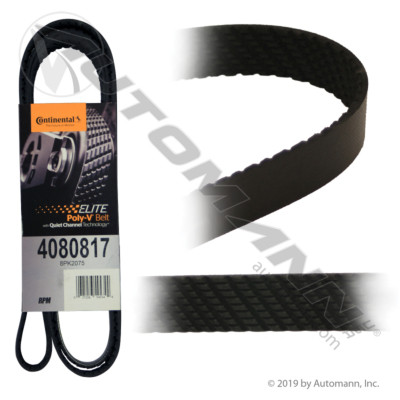 AUTOMANN Continental Serpentine Belt 815.4080817