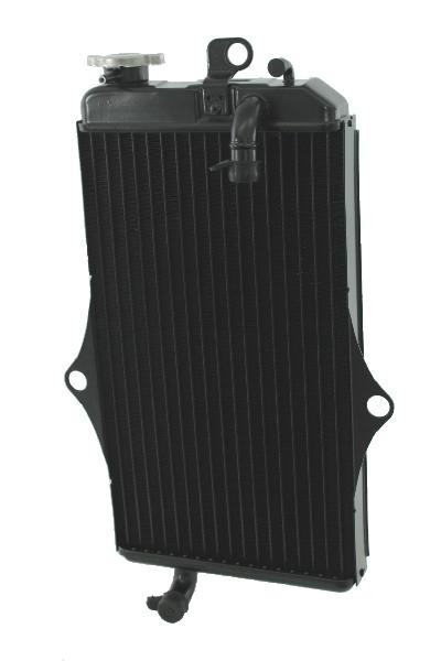 152017 YAMAHA RADIATOR: BANSHEE(1987-2006) | OEM 2GU124600100 ...