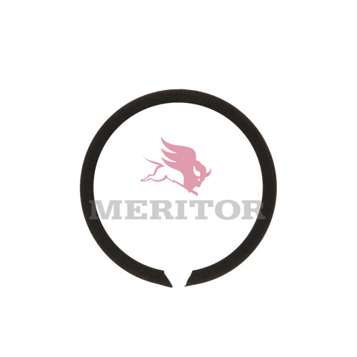 Meritor 1229W4131 - Axle Hardware Lock Ring