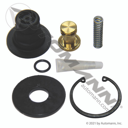 170.109995 ADSP TYPE PURGE VALVE KIT