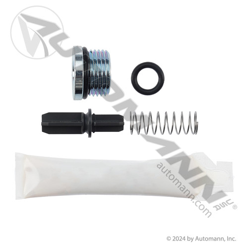 170.K092011 AD9SI TYPE CHECK VALVE REPAIR KIT