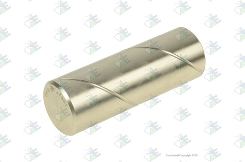 Euroricambi 24170048 - Pin (Bronze) for Dana-Spicer 27861