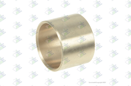 Euroricambi 24170079 - Side Pinion Bushing for Dana-Spicer 95215
