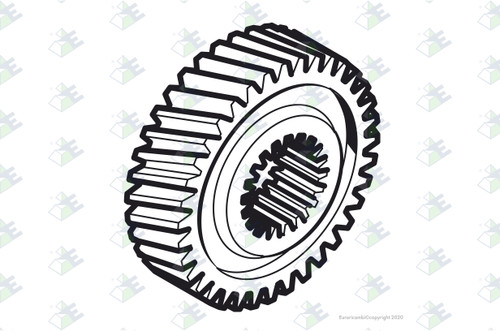 Euroricambi 24170087 - Helical Gear 31T.-16 Spl. for Dana-Spicer 78915