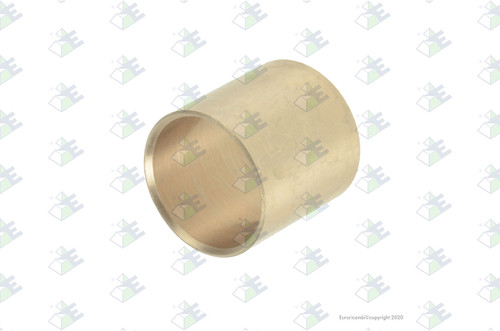 Euroricambi 24170094 - Side Pinion Bushing for Dana-Spicer 95219