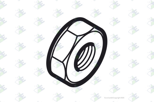 Euroricambi 24170235 - Nut M48X1,5 for Dana-Spicer 126155