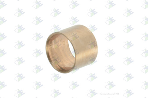 Euroricambi 24170534 - Side Pinion Bushing for Dana-Spicer 95211