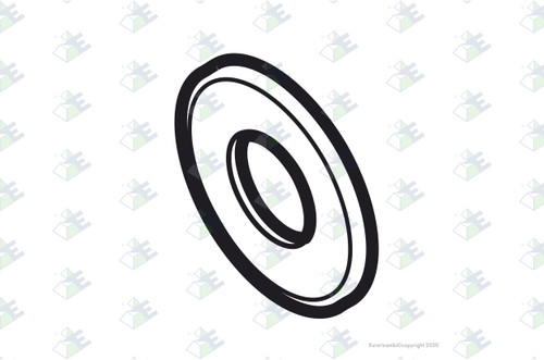Euroricambi 24171033 - Thrust Washer for Dana-Spicer 126180