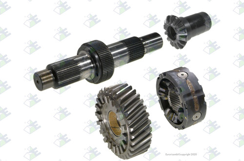 Euroricambi 24171312 - Repair Kit for Dana-Spicer 24171312