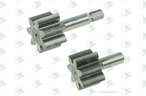 Euroricambi 24171315 - Gear Kit For Pump for Dana-Spicer 24171315