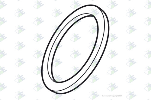 Euroricambi 35530097 - Washer for Fuller 19466