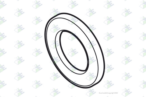 Euroricambi 35540029 - Washer T.7,93 MM for Fuller 16310