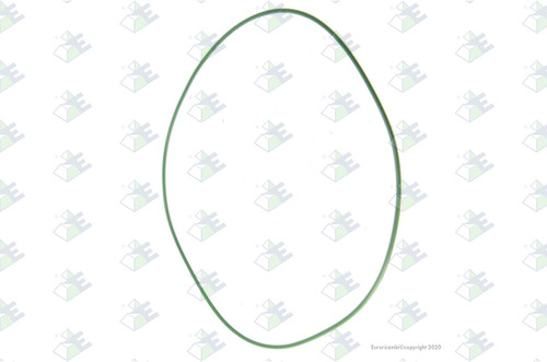 Euroricambi 88170881 - O-Ring 248X3 for Meritor 982108
