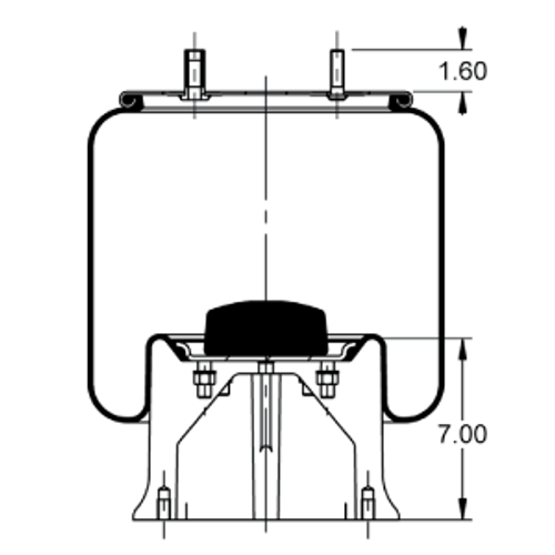 AS-8530 WATSON AND CHALIN AIR BAG SPRING