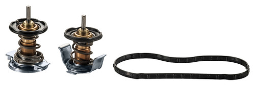 AP63498 THERMOSTAT KIT