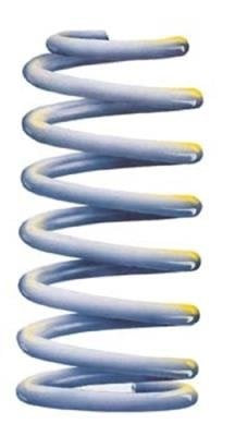 ARB 2995 - Old Man Emu Rear Coil Spring Set