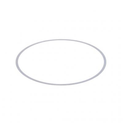 PAI 8315-010 - Mack E7 Piston Liner Shim .010 Inch