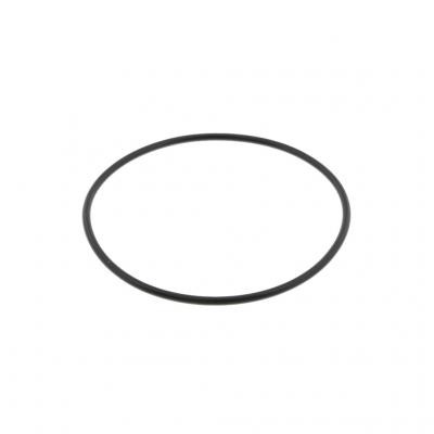 PAI 3001 - O-Ring