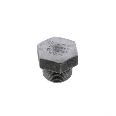 PAI 042010 - Magnetic Drain Plug