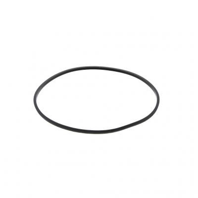 Tiger G PAI 121271 Cummins Seal Ring