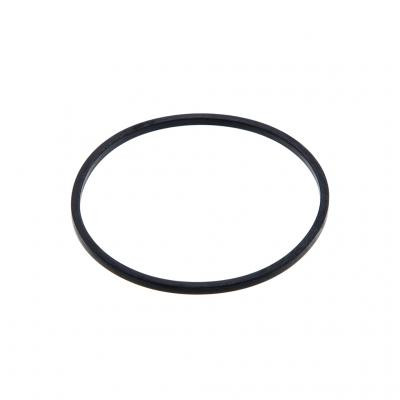 PAI 621268 - EPDM Water Pump Rectangular Sealing Ring