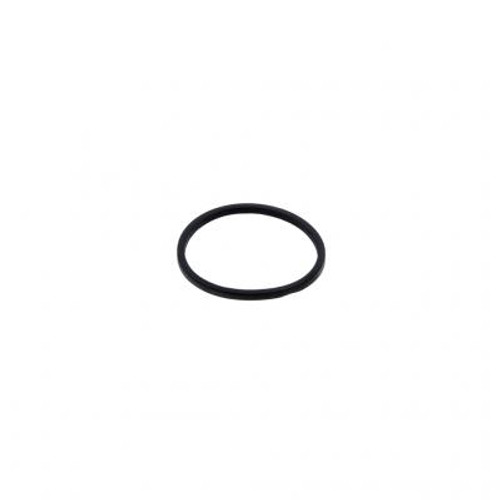 PAI 121266 - Viton Rectangular Sealing Ring