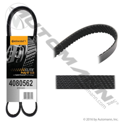 815.4080562 CONTI ELITE SERPENTINE BELT