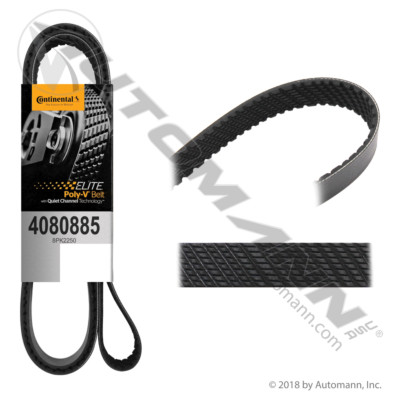 815.4080885 CONTI ELITE SERPENTINE BELT