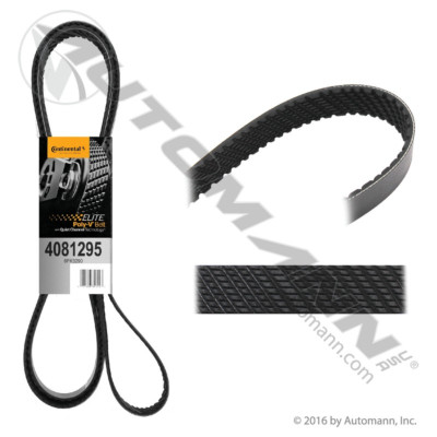 815.4081295 CONTI ELITE SERPENTINE BELT