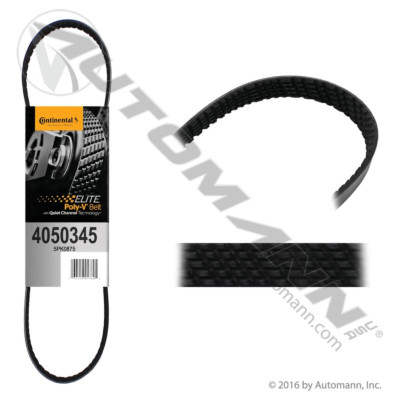 815.4050345 CONTI ELITE SERPENTINE BELT