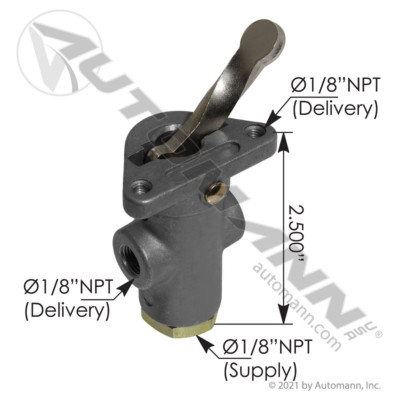 AUTOMANN TW1 Valve: 170.229635 - New