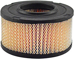 PA30019 AIR ELEMENT