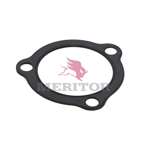 3208M1027 KING PIN - GASKET