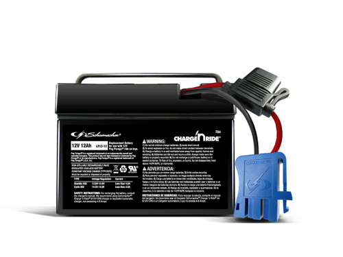 TB4 12V 12 AH REPLACEMENT BATTERY