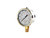 Buyers HPGS200 - 2.5 Inch Silicone Filled Pressure Gauge with Built-In Relief Valve, 1/4 NPT Stem Mount, 0-200 PSI
