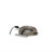 Eaton 14219-1 - ELocker Differential, 30 Spline, 3.73 & Down Ratio for Toyota 4Runner/Tacoma/Land Cruiser 8 In.