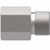B7255X5 STEEL STRAIGHT FITTINGS