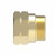 Aeroquip 33808-D - Air Brake Socket for Spring Guard Brass