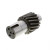 PAI 79610 - Bull Pinion Gear